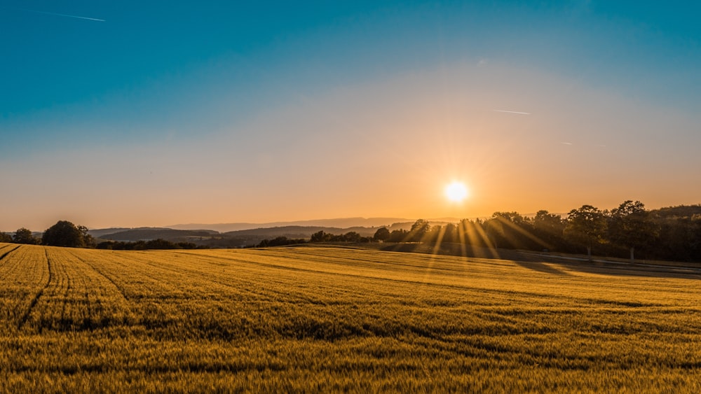 Golden hour over farm