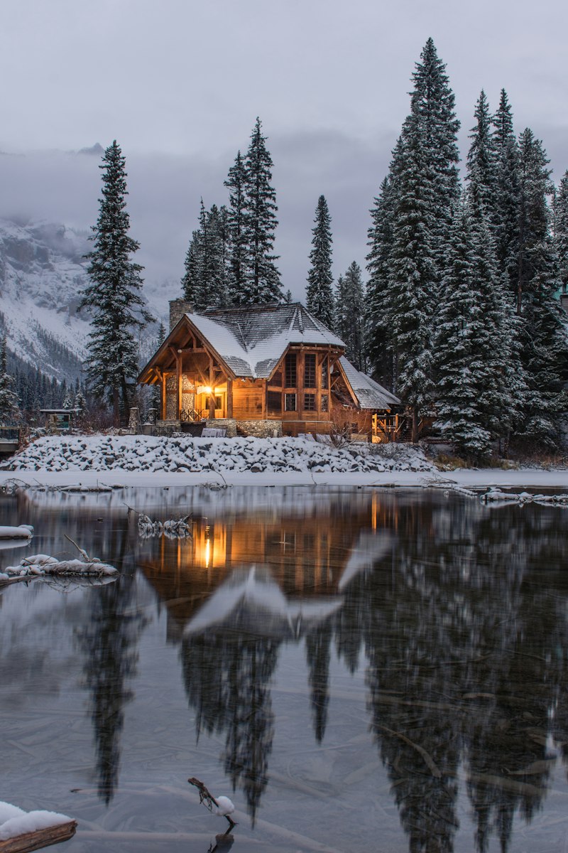 Moonstay cabin