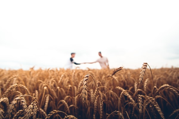 Harvest hands